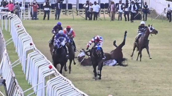 Hippisme - Lourde chute du jockey Sonaram sur Engima Code