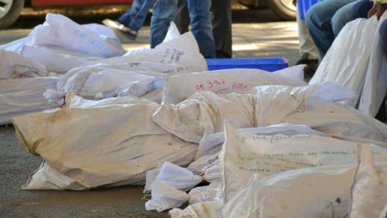 Destruction de Rs 188,4 millions de drogues en juin 2024