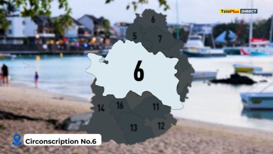 Législatives 2024 : Zoom sur la circonscription numéro 6