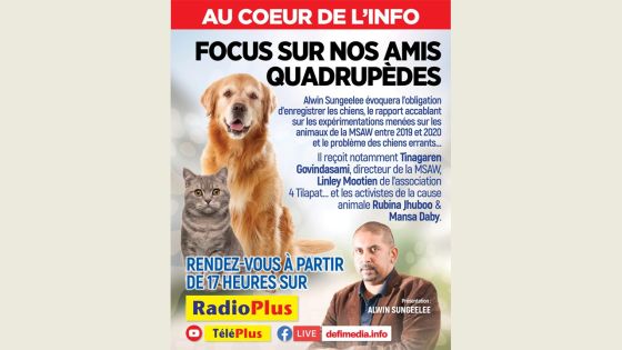 Au Coeur de l’Info : obligation d’enregistrer les chiens, zoom sur nos amis quadrupèdes