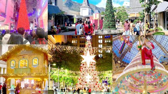 Sous les sapins du globe