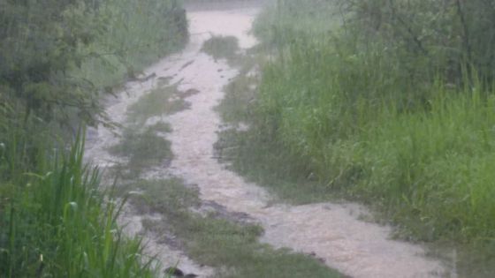 Météo : 176 mm de pluie à Providence