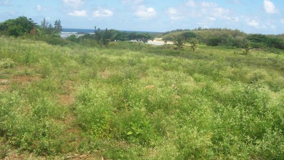 Litiges fonciers: le GM mettra des avocats à la disposition de ceux ne pouvant payer les frais légaux