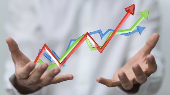 Selon le BoI: Rs 12 milliards d’investissements étrangers en 2015