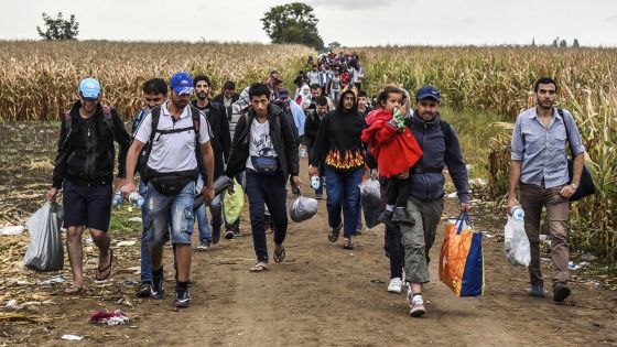 L’appel au gouvernement du comité soutien aux réfugiés syriens