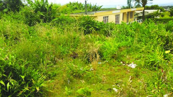 Union Park: Un terrain de l’État en friche réhabilité