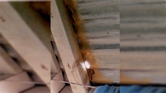 Francesca sollicite les autorités: «Nous sommes dans le besoin, mais nos demandes d’aide sont rejetées»