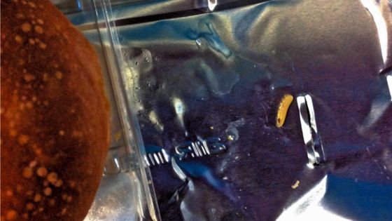 Sur un vol d’Air Mauritius: un asticot dans un plateau repas ?