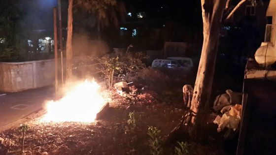 Rue Lepneveu: Trois arbres et les eaux usées importunent