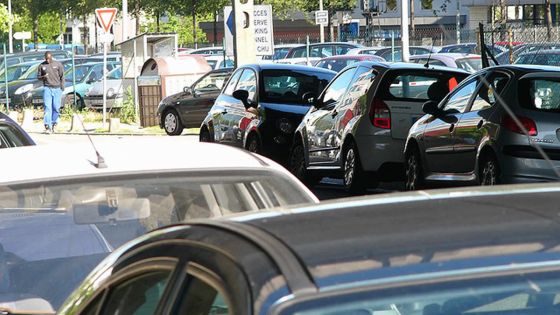 Palma: les écoliers marchent sur la chaussée