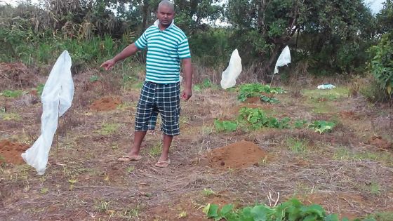 Résidence La Brasserie: pas de renouvèlement du bail si l’élevage continue