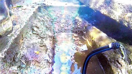 Camp Lagesse, Forest-Side: des matières fécales sur l’asphalte