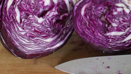 Chou rouge: pas seulement pour des salades !