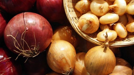 Une baisse dans la production d’oignons attendue