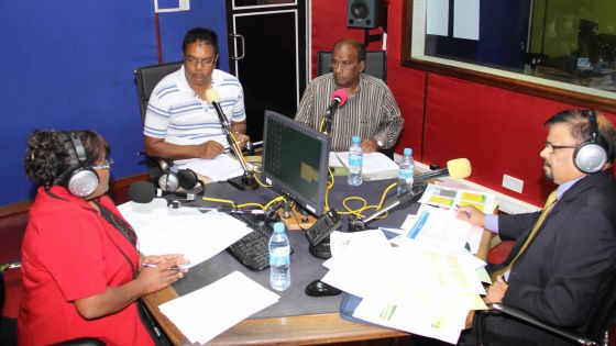 Pleins feux sur l’avenir de la canne à sucre