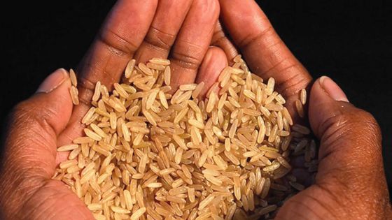 Extrême pauvreté: à quand la fin de la faim ?