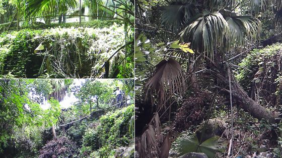 Érosion à Phoenix: terrain et maison risquent de s’effondrer