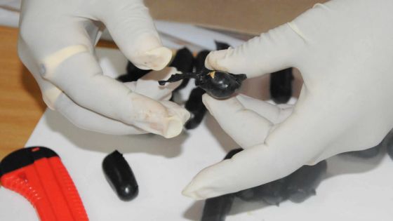 Des dealers remettent de la drogue à une mineure