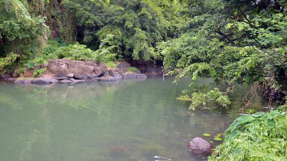 Coromandel: le corps sans vie d’un ado repêché