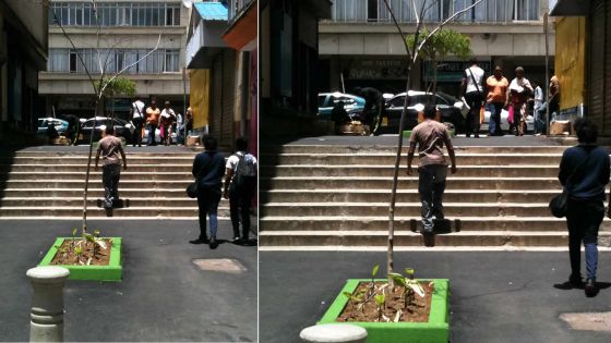 Protéger l’environnement svp !