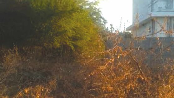 Les cambrioleurs sont passés par un terrain en friche