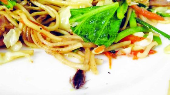 Son «mine frit» servi avec... un cafard