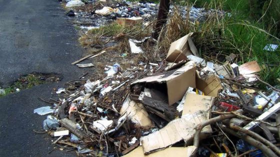 Terre-Rouge: l’espace verdoyant de la montagne converti en dépotoir sauvage