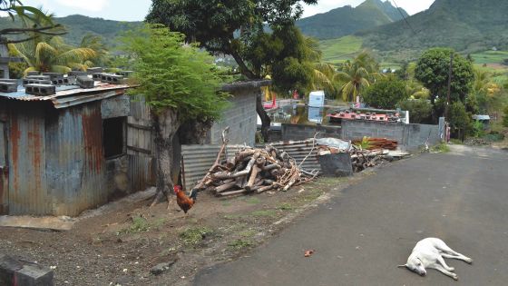 À l'approche de la période cyclonique: entre la peur et l’espoir sur le littoral sud-est