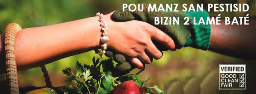 La culture potagère: un retour à la terre pour combattre la pauvreté