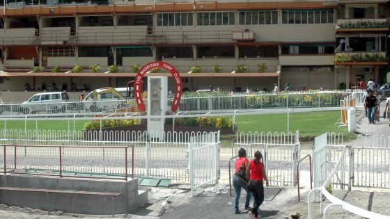 Un jeune se fait attaquer par une meute de chiens errants au Champ-de-Mars