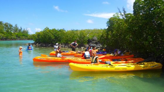 Activité nautique: petite virée en kayak