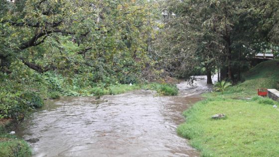 Pollution : 701 plaintes enregistrées