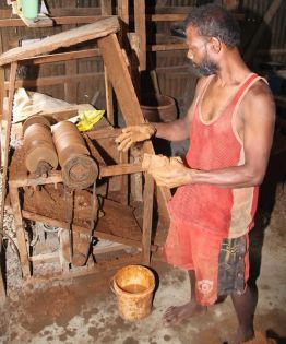 Divali: diyas, ces merveilles de la terre