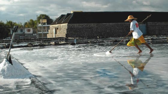 Les salines de Tamarin: 33 employés contestent leur limogeage