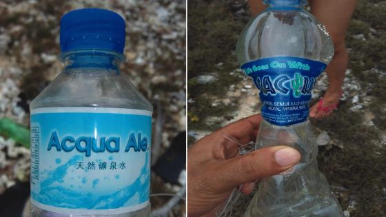 Sur l’île Plate: d’autres objets qui pourraient provenir du vol MH 370 de Malaysia Airlines découverts