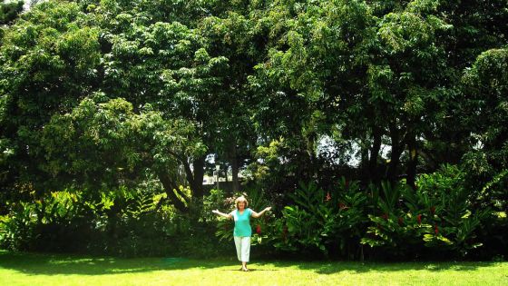 Shari Villarosa: «Les chauves-souris sont les bienvenues chez moi»