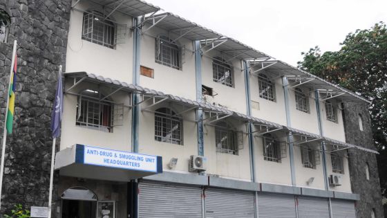 Culture de cannabis à domicile 2189 plants saisis