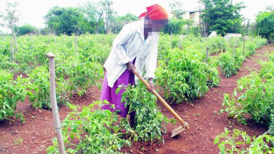 Investissement: des terres agricoles en guise de placements