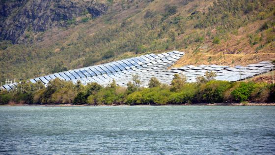 Sarako: 40% des terres allouées inutilisées