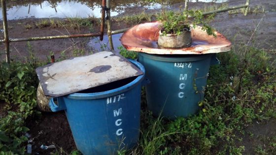 Curepipe: les poubelles en mode attente