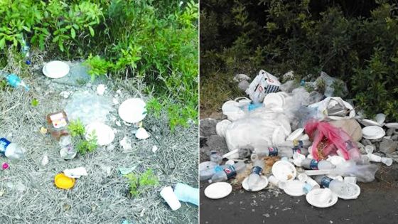 Dépotoir sauvage à Helvétia