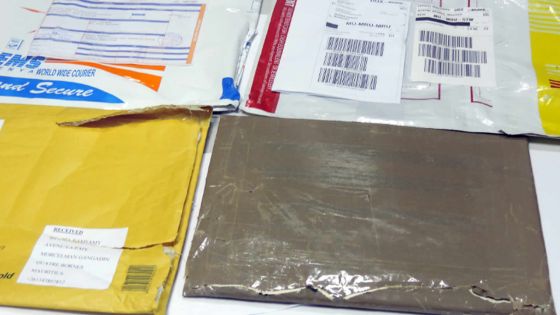 Saisie de Rs 15 M drogue: coup dur porté au réseau de Cité-Kennedy