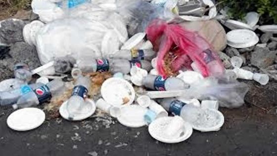 Petit-Camp: la route souillée