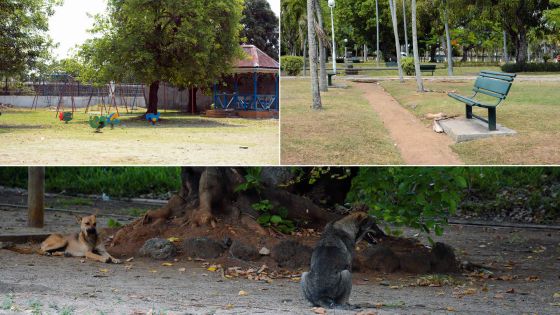 Les Salines: détérioration de l’environnement