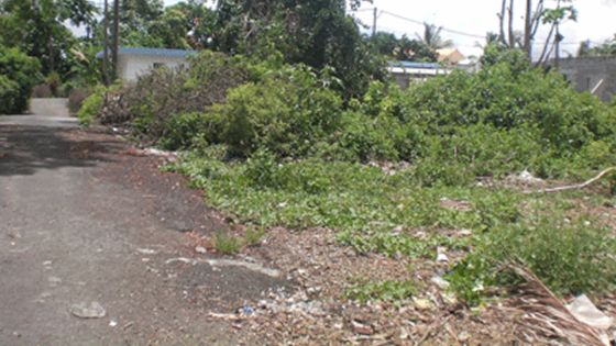 Curepipe: terrain en friche à Mootoo Lane
