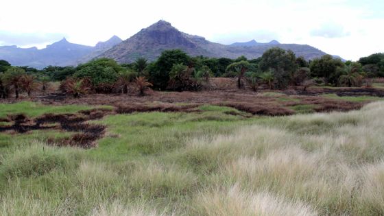 Pic énergétique: un record de 480 MW attendu pour la période mars-avril