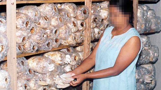 Culture de champignons: un créneau à exploiter