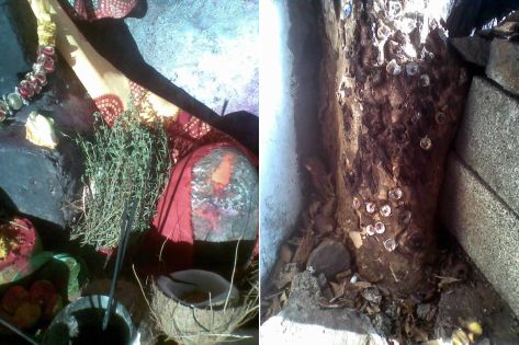 À Tamarin: un attirail de sorcellerie découvert