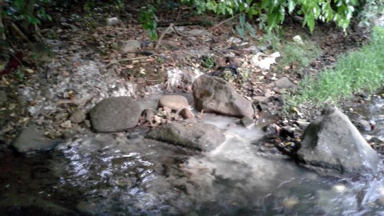 Allégations contre une fabrique: la rivière Mesnil souffre de pollution industrielle