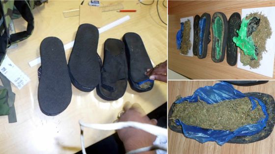 Saisie de cannabis: deux habitants de Rose-Belle arrêtés